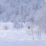 Vinteraktiviteter for en uforglemmelig vinter i 2026