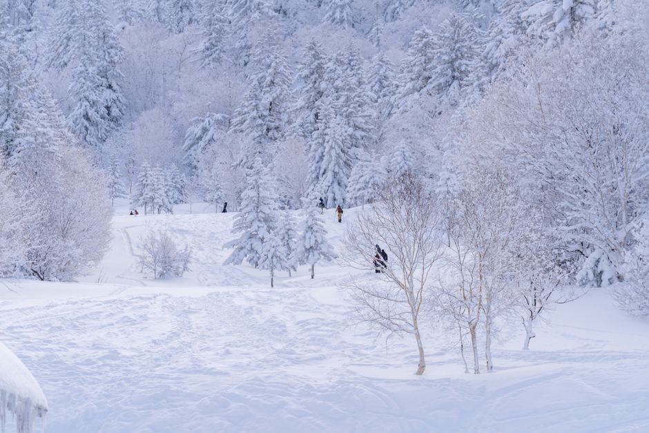 Vinteraktiviteter for en uforglemmelig vinter i 2026